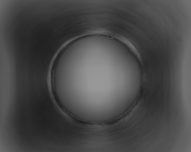 X0000100910947200806241048