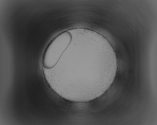 X0000100910950200806241048