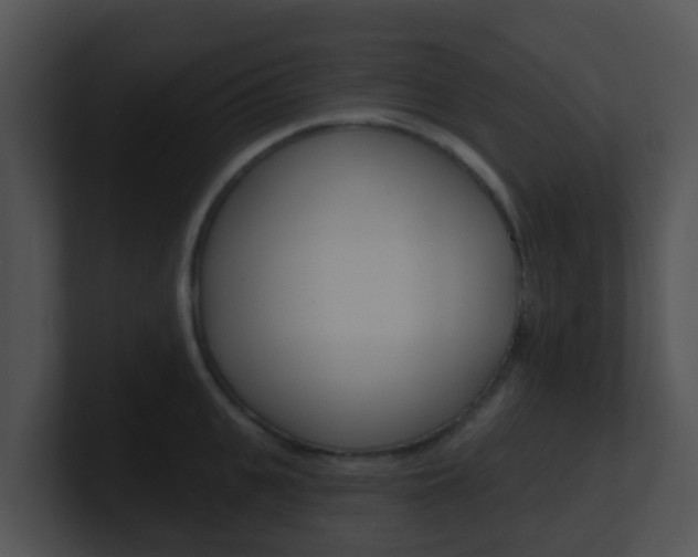 X0000100910951200806241048