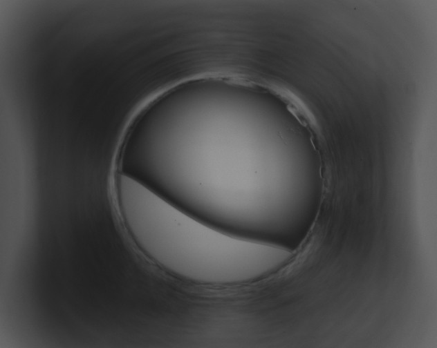X0000100910952200806241048