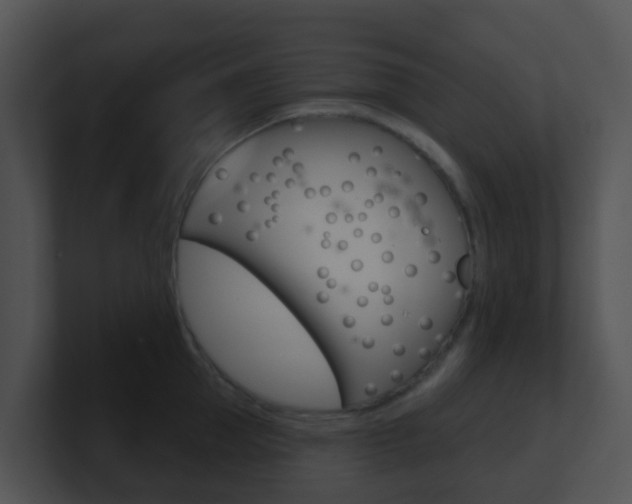 X0000100910953200806241048