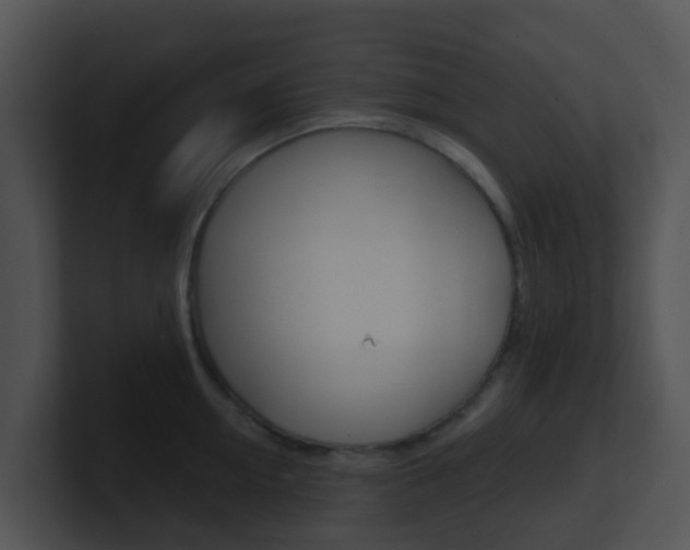 X0000100910954200806241048