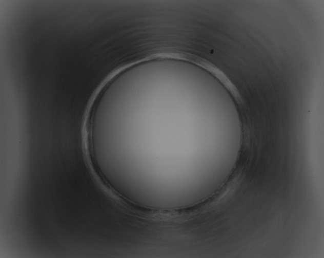 X0000100910955200806241048