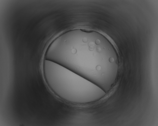 X0000100910957200806241048