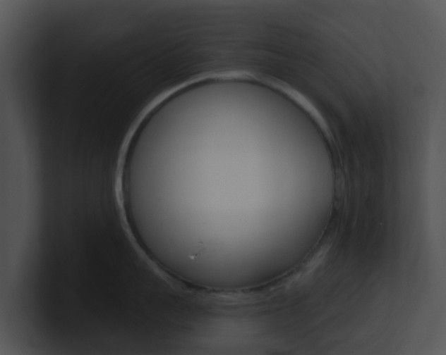 X0000100910959200806241048