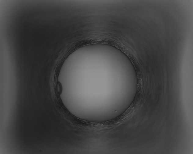 X0000100910961200806241048