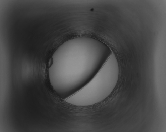 X0000100910963200806241048