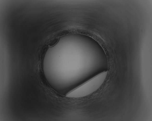 X0000100910965200806241048