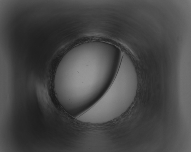 X0000100910967200806241048