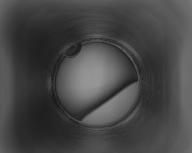 X0000100910969200806241047