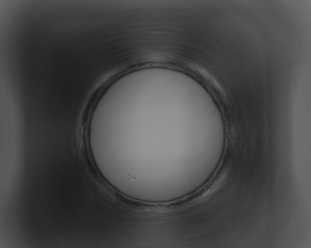 X0000100910970200806241047