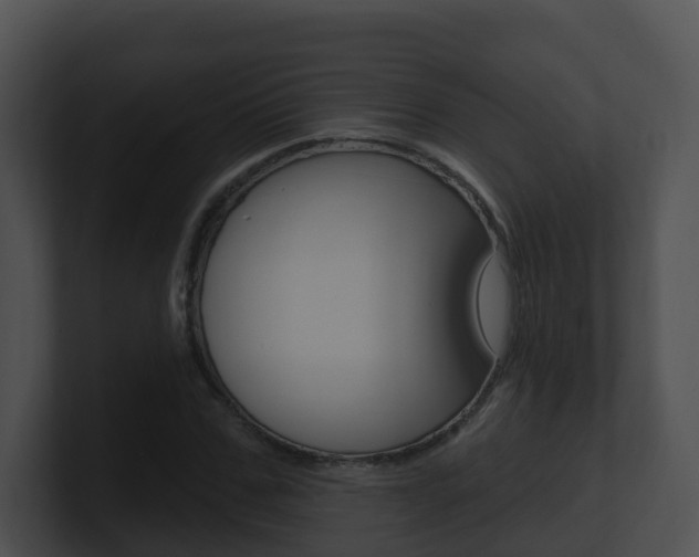 X0000100910971200806241047