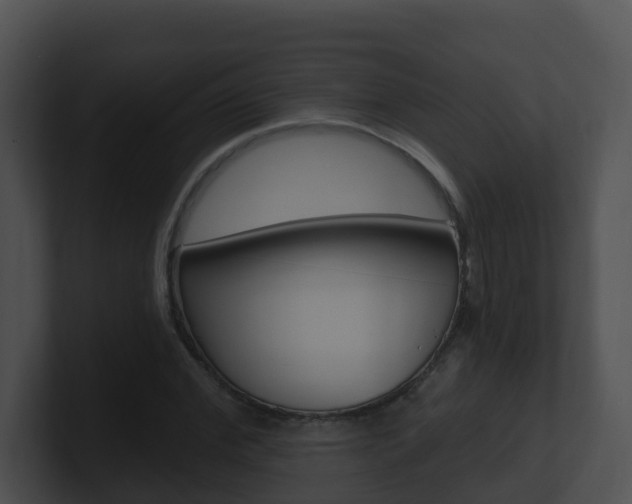 X0000100910972200806241047