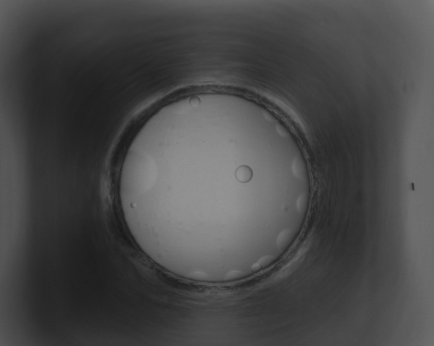 X0000100910974200806241047
