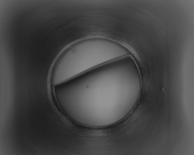 X0000100910976200806241047