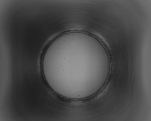 X0000100910978200806241047