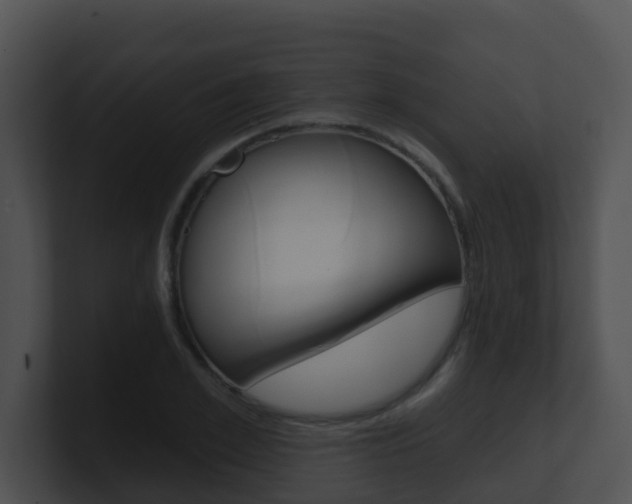 X0000100910981200806241047