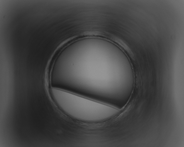 X0000100910984200806241047