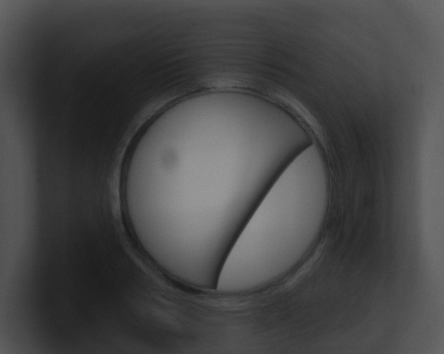 X0000100910986200806241047