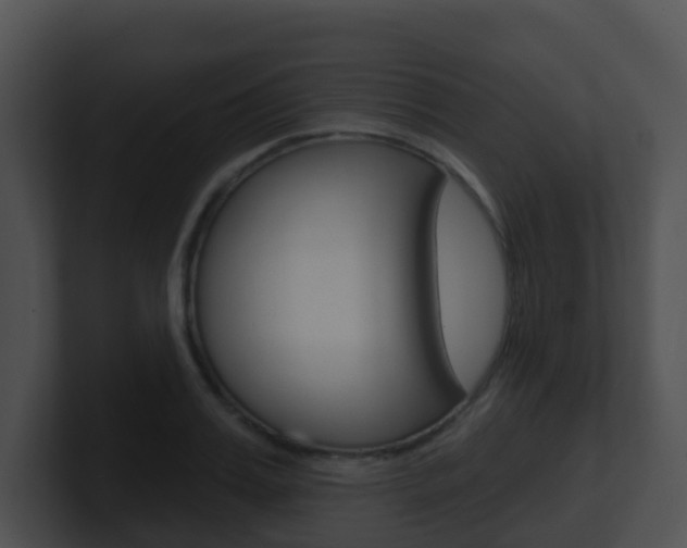 X0000100910987200806241047