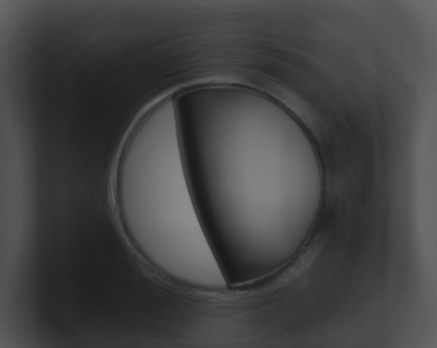 X0000100910988200806241047