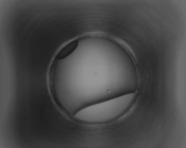 X0000100910989200806241047