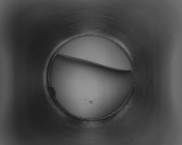 X0000100910991200806241047