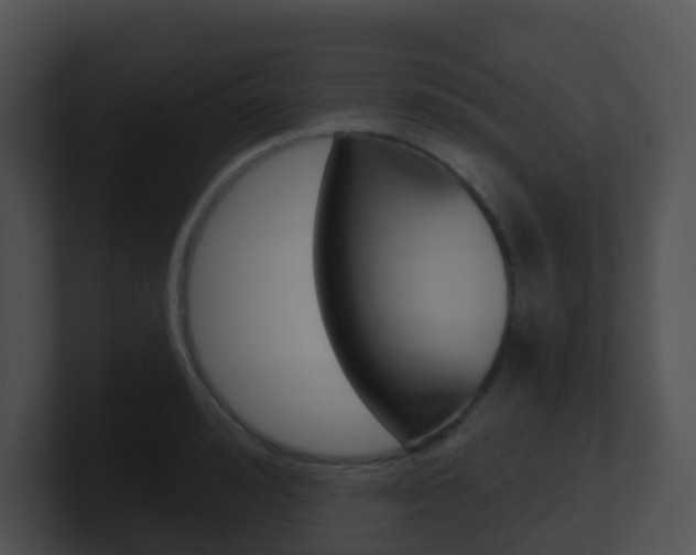 X0000100910992200806241047