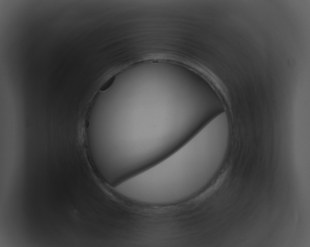 X0000100910993200806241047