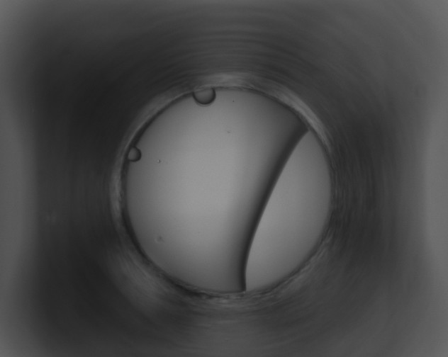X0000100910994200806241047