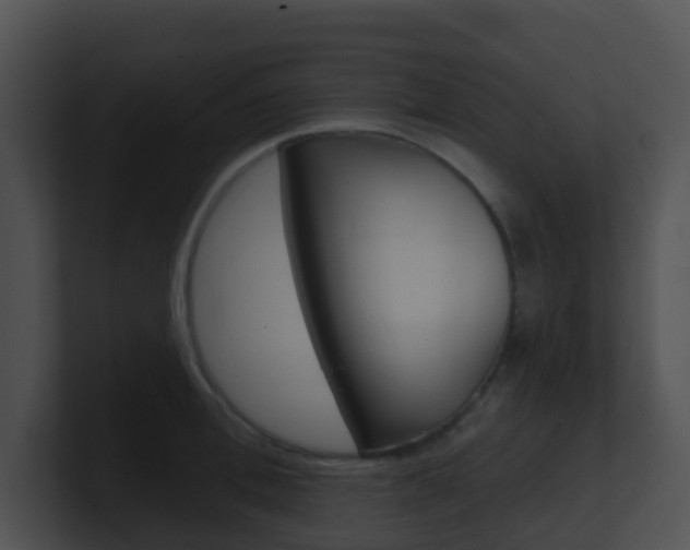 X0000100910996200806241047