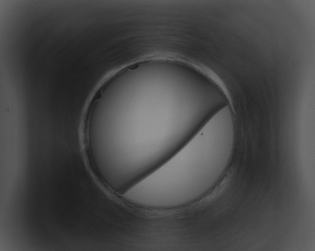 X0000100910997200806241047