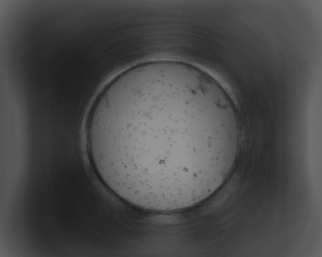 X0000100910998200806241047