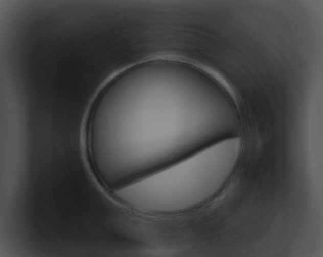 X0000100910999200806241047