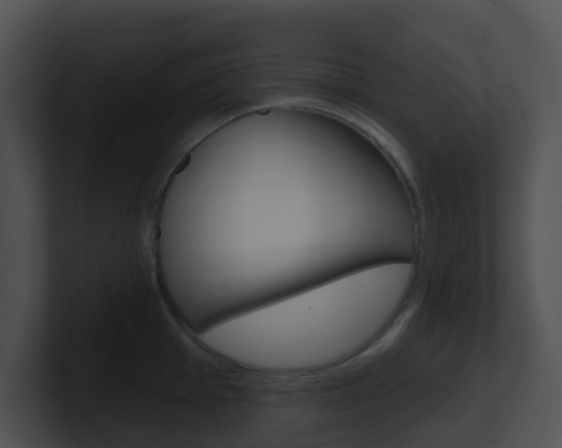 X0000100911001200806241047