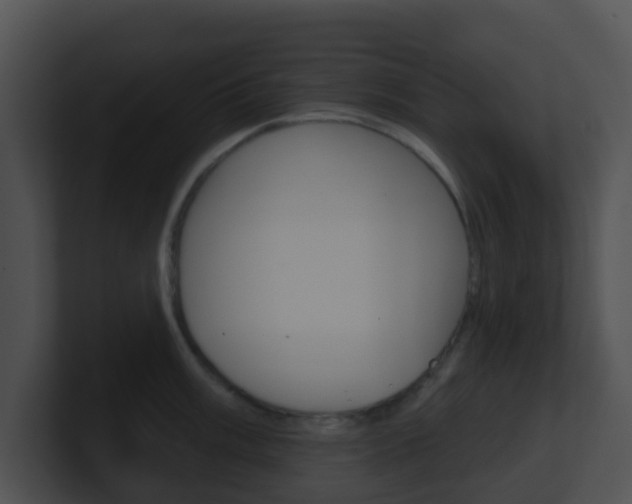 X0000100911003200806241047