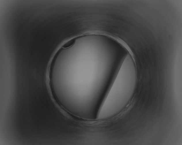 X0000100911005200806241047
