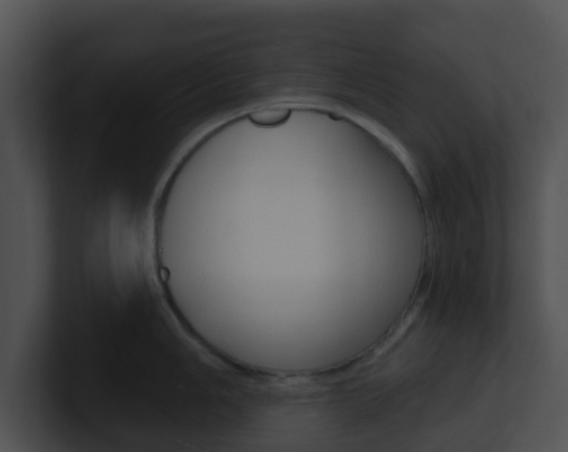 X0000100911006200806241047