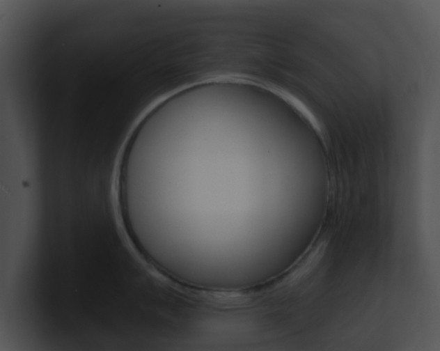 X0000100911007200806241047