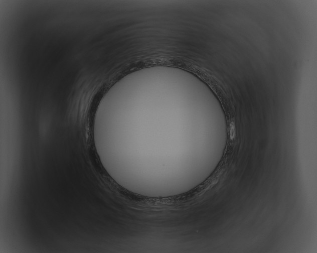 X0000100911011200806241046