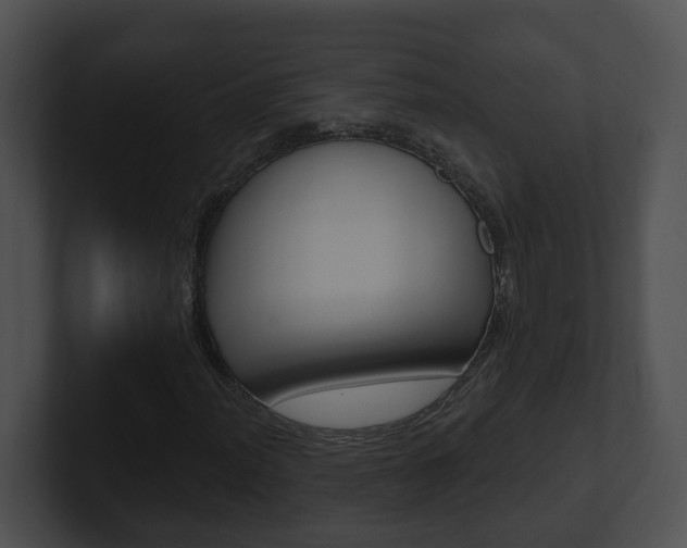 X0000100911012200806241046