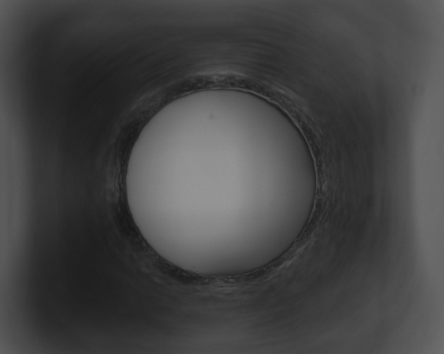X0000100911014200806241046