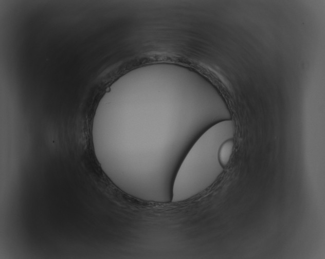 X0000100911015200806241046