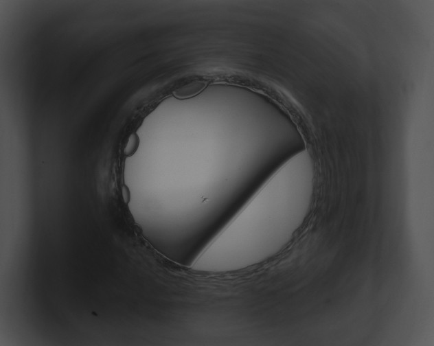 X0000100911016200806241046