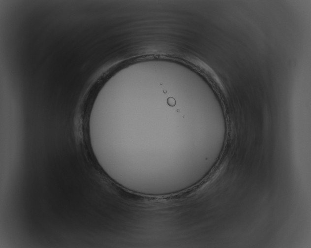 X0000100911019200806241046