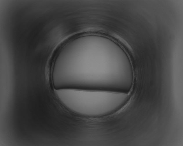 X0000100911021200806241046