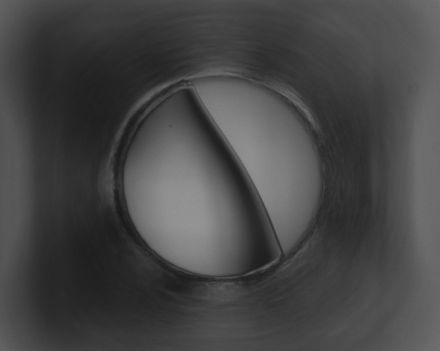 X0000100911024200806241046