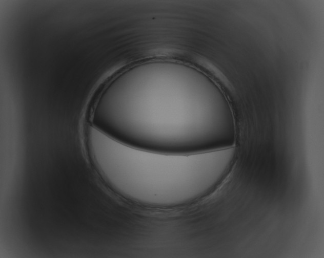 X0000100911026200806241047