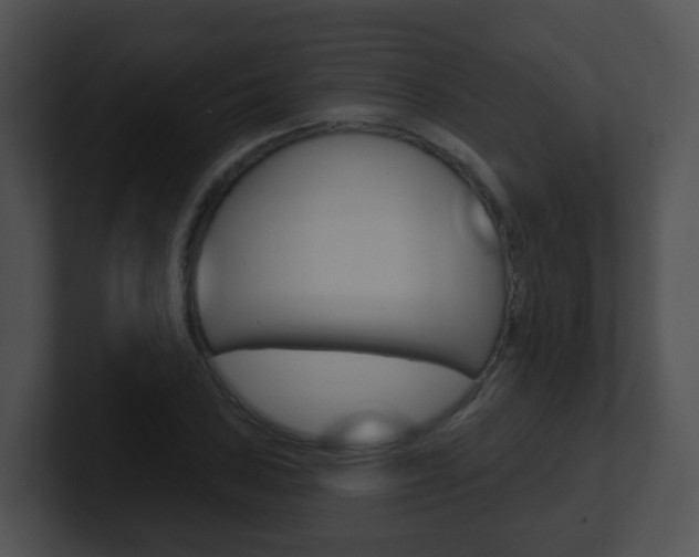 X0000100911027200806241047