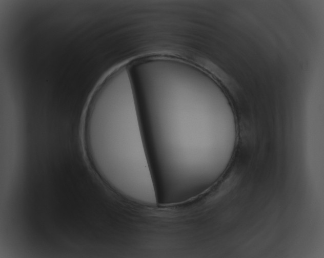 X0000100911028200806241047